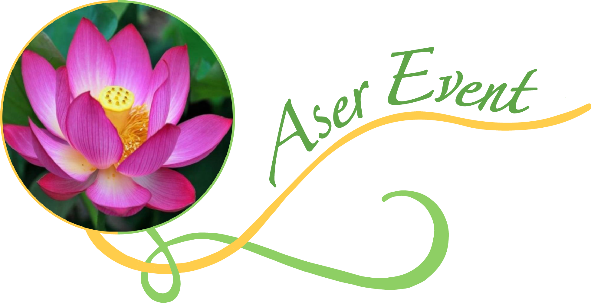 Aser Event - ACP Animations